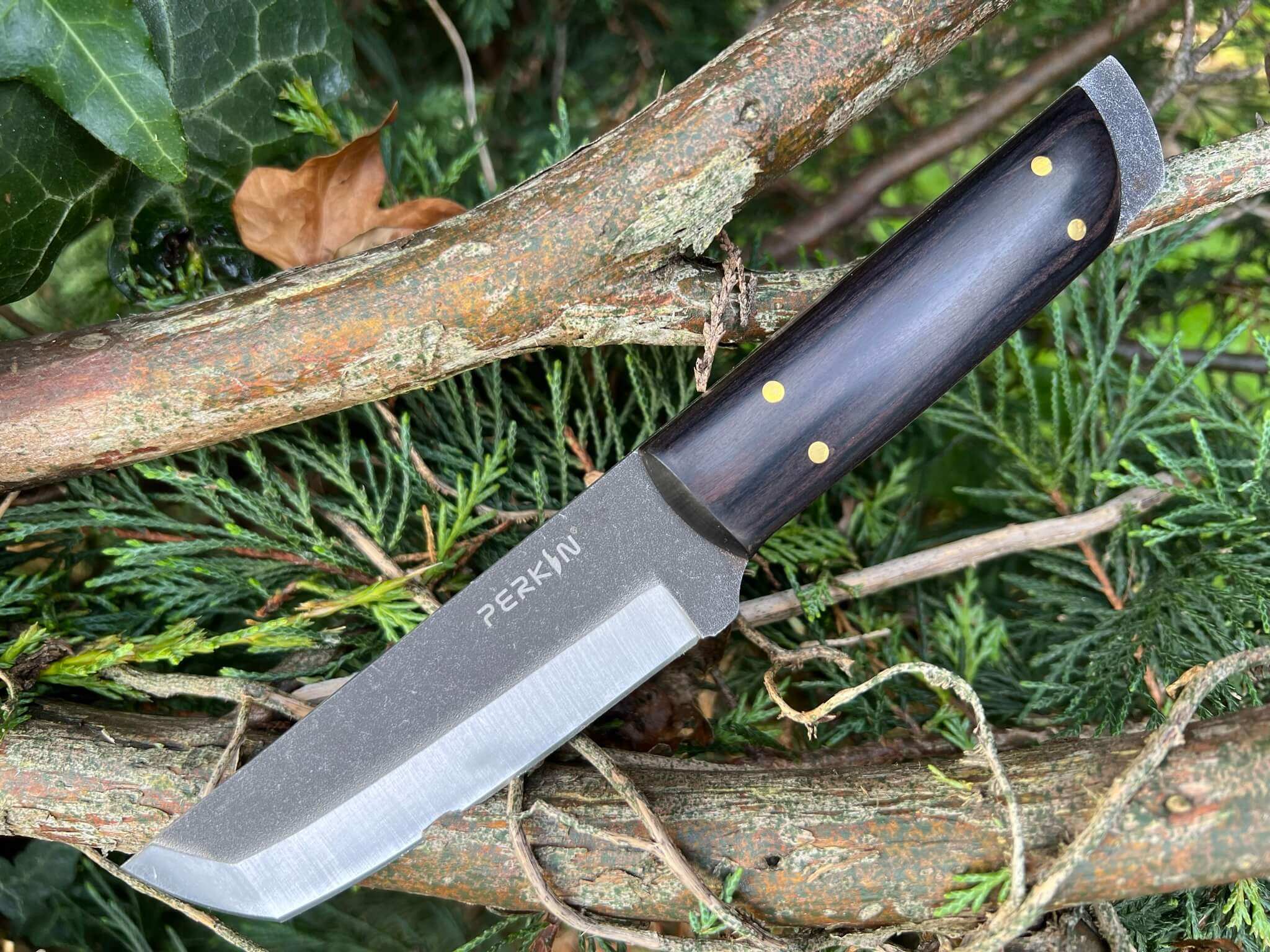 g Knife with Sheath Tanto Blade Full tank knife PK800-Black
