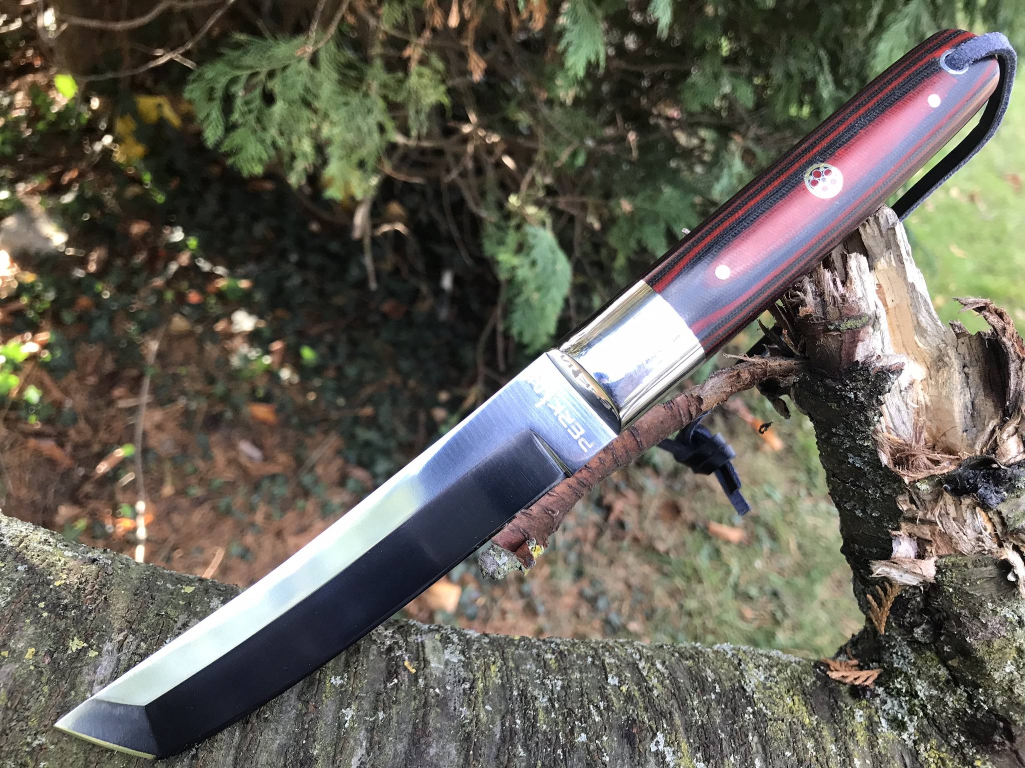 Fixed blade hunting knife with sheath D2 steel tanto blade