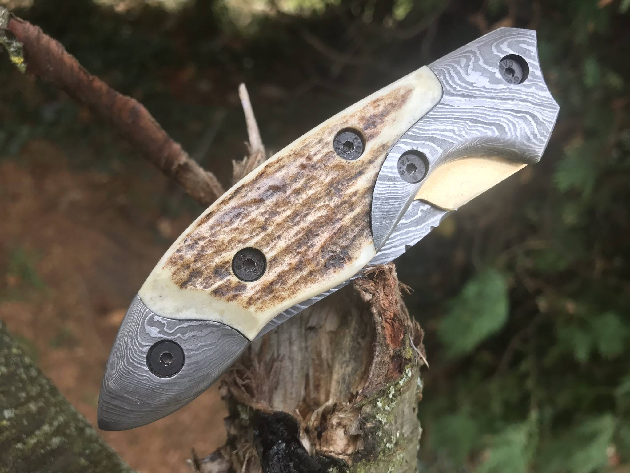 Handmade damascus steel pocket knife stag antler handle